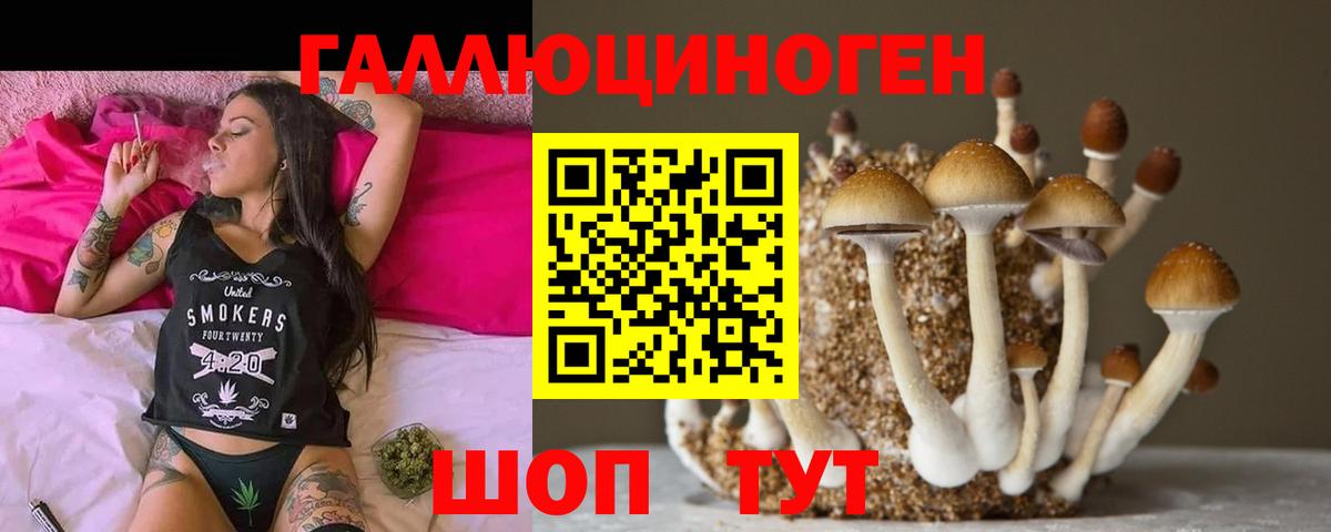 Псилоцибиновые грибы Cubensis  Вход с VPN  Галлюциногенные грибы Psilocybe  Каспийск 