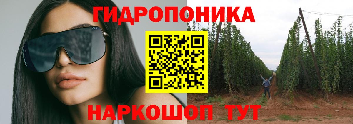 МАРИХУАНА тримм  Каннабис Bruce Banner  Вход с VPN  Каспийск 